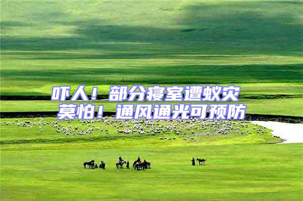 嚇人!部分寢室遭蟻災 莫怕!通風通光可預防