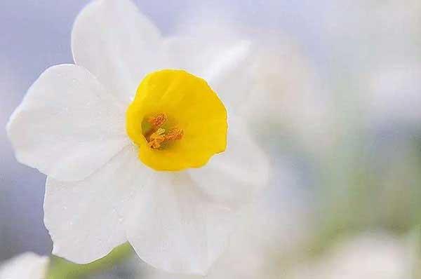 除蟲公司在夏季如何為工廠做好蟲害防控？