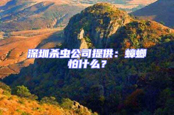 深圳殺蟲公司提供：蟑螂怕什么？