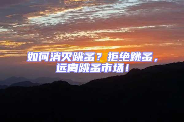 如何消滅跳蚤？拒絕跳蚤，遠離跳蚤市場！