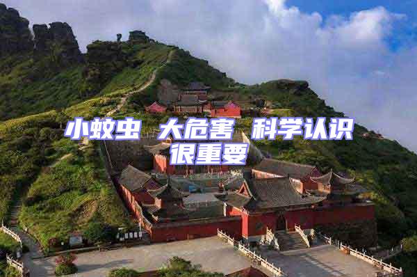 小蚊蟲 大危害 科學(xué)認識很重要