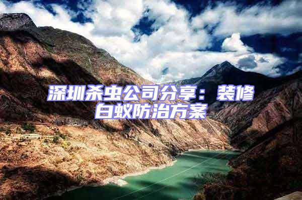 深圳殺蟲公司分享:裝修白蟻防治方案