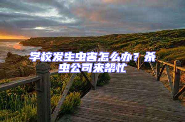 學校發生蟲害怎么辦?殺蟲公司來幫忙