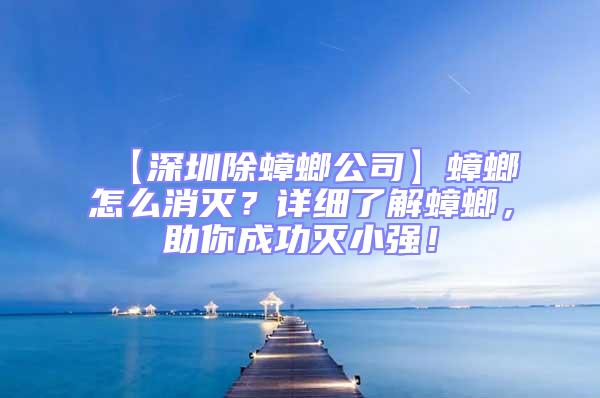 【深圳除蟑螂公司】蟑螂怎么消滅?詳細了解蟑螂,助你成功滅小強!