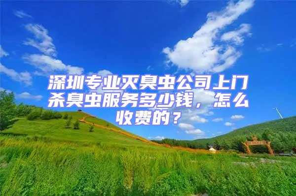 深圳專業滅臭蟲公司上門殺臭蟲服務多少錢，怎么收費的？