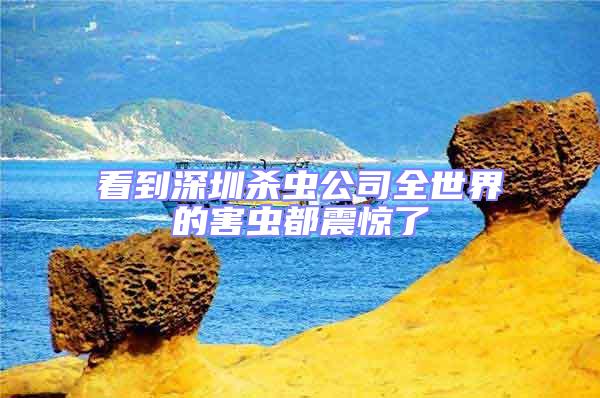 看到深圳殺蟲(chóng)公司全世界的害蟲(chóng)都震驚了
