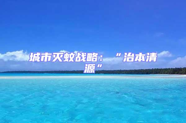 城市滅蚊戰(zhàn)略:“治本清源”