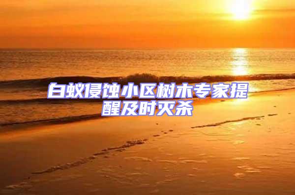 白蟻侵蝕小區(qū)樹(shù)木專家提醒及時(shí)滅殺