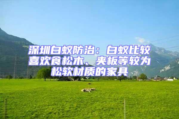 深圳白蟻防治:白蟻比較喜歡食松木、夾板等較為松軟材質(zhì)的家具