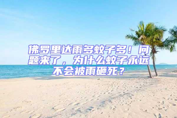 佛羅里達雨多蚊子多!問題來了,為什么蚊子永遠不會被雨砸死?