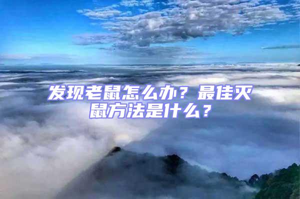 發(fā)現(xiàn)老鼠怎么辦?最佳滅鼠方法是什么?