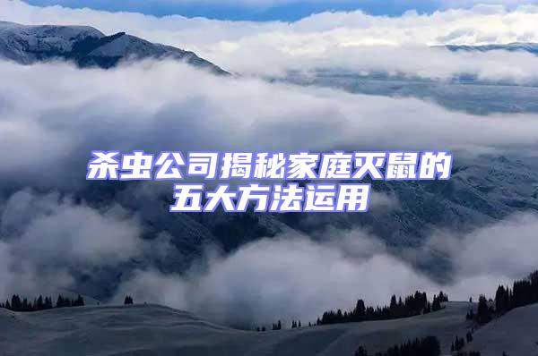 殺蟲公司揭秘家庭滅鼠的五大方法運(yùn)用