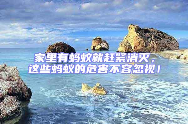 家里有螞蟻就趕緊消滅,這些螞蟻的危害不容忽視!