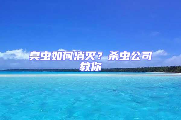 臭蟲如何消滅?殺蟲公司教你