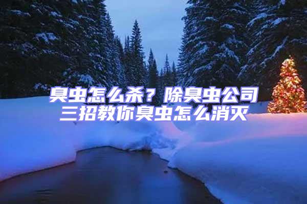 臭蟲怎么殺?除臭蟲公司三招教你臭蟲怎么消滅