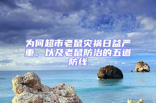 為何超市老鼠災禍日益嚴重，以及老鼠防治的五道防線