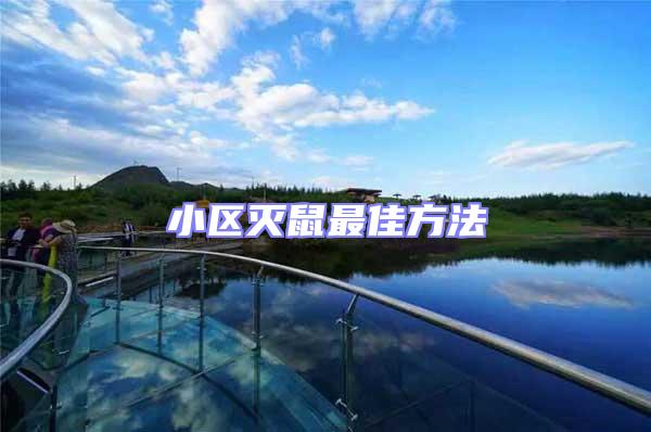 小區滅鼠最佳方法