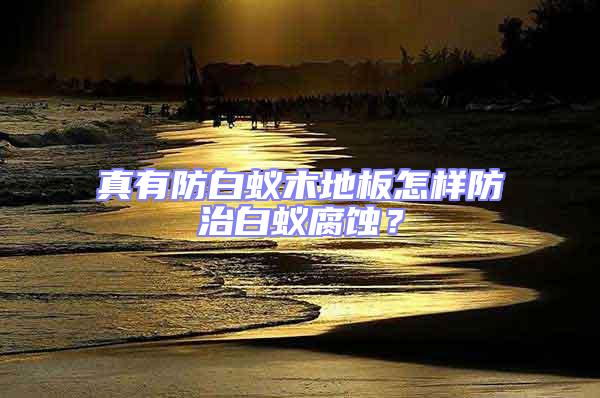 真有防白蟻木地板怎樣防治白蟻腐蝕?