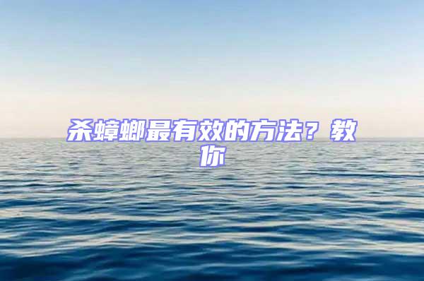 殺蟑螂最有效的方法?教你