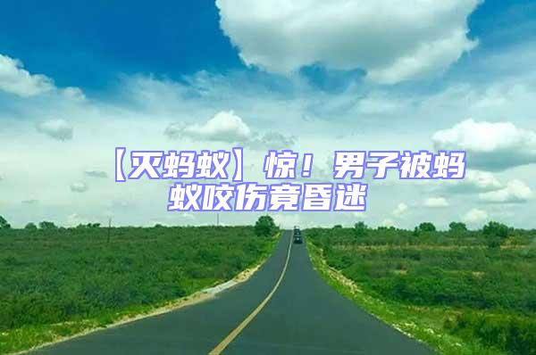 【滅螞蟻】驚!男子被螞蟻咬傷竟昏迷