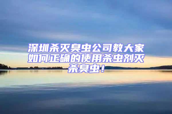 深圳殺滅臭蟲公司教大家如何正確的使用殺蟲劑滅殺臭蟲!
