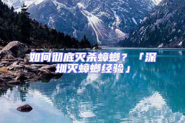 如何徹底滅殺蟑螂?「深圳滅蟑螂經驗」