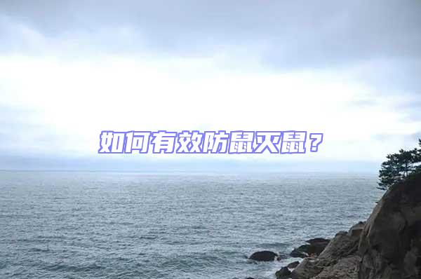 如何有效防鼠滅鼠?