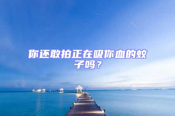 你還敢拍正在吸你血的蚊子嗎?