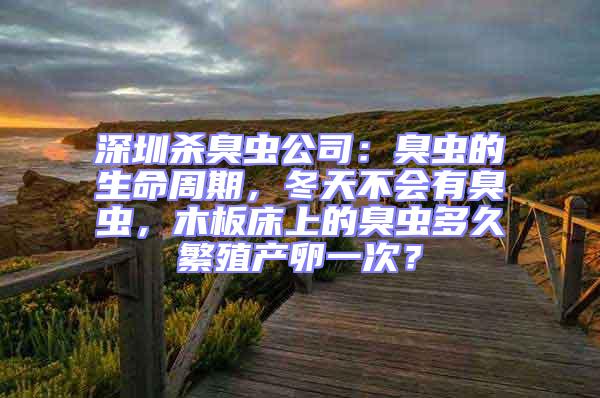 深圳殺臭蟲公司:臭蟲的生命周期,冬天不會(huì)有臭蟲,木板床上的臭蟲多久繁殖產(chǎn)卵一次?