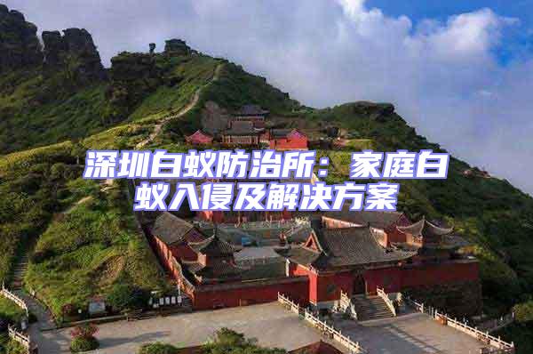 深圳白蟻防治所:家庭白蟻入侵及解決方案