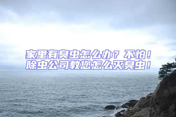 家里有臭蟲怎么辦?不怕!除蟲公司教您怎么滅臭蟲!