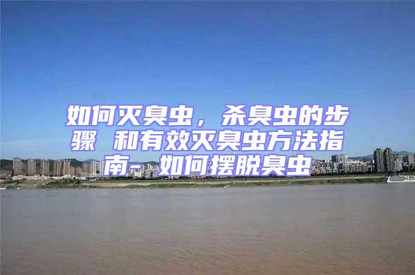 如何滅臭蟲，殺臭蟲的步驟 和有效滅臭蟲方法指南- 如何擺脫臭蟲