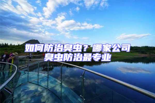 如何防治臭蟲?哪家公司臭蟲防治最專業