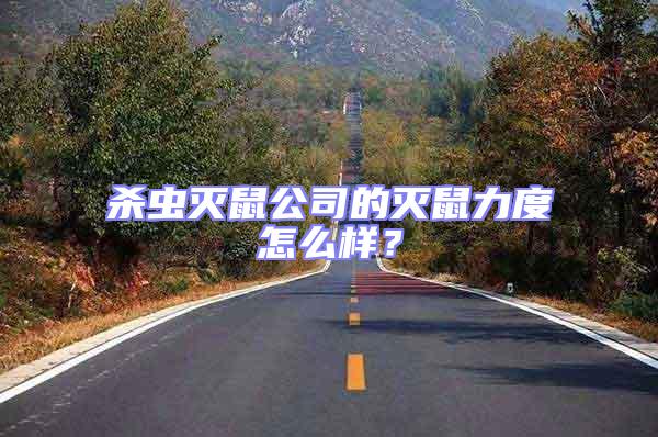 殺蟲滅鼠公司的滅鼠力度怎么樣?