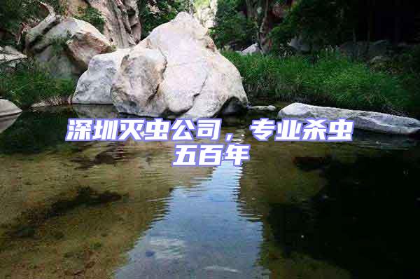 深圳滅蟲公司，專業殺蟲五百年