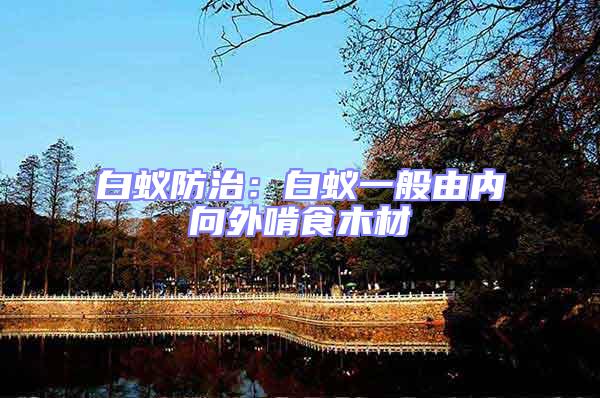 白蟻防治:白蟻一般由內向外啃食木材