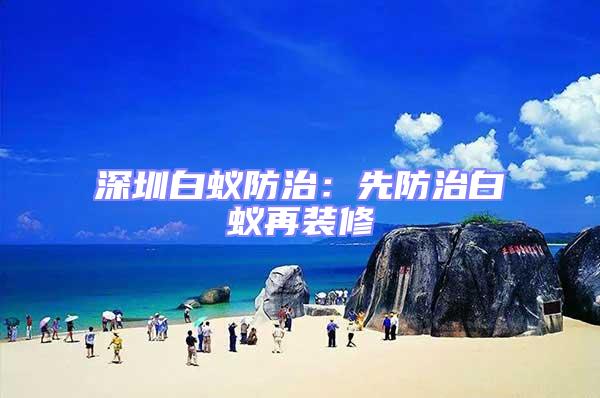 深圳白蟻防治:先防治白蟻再裝修