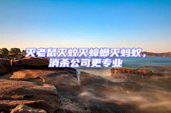 滅老鼠滅蚊滅蟑螂滅螞蟻,消殺公司更專業(yè)