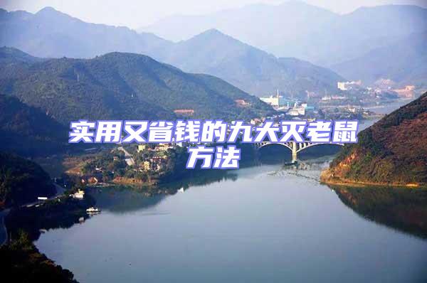 實(shí)用又省錢(qián)的九大滅老鼠方法