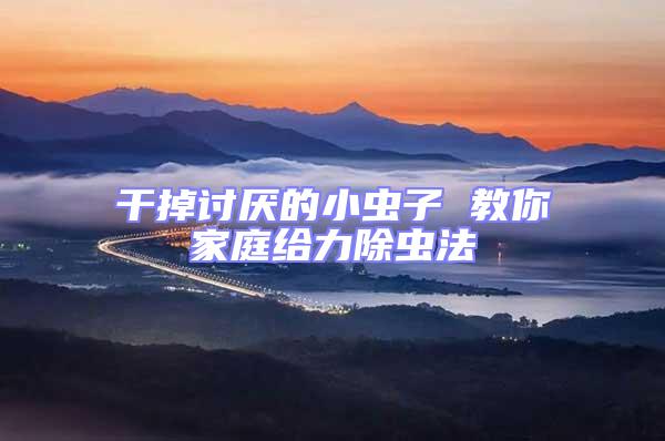 干掉討厭的小蟲(chóng)子 教你家庭給力除蟲(chóng)法
