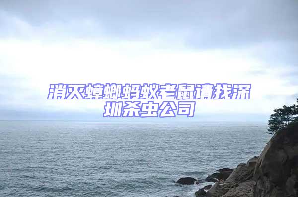 消滅蟑螂螞蟻老鼠請(qǐng)找深圳殺蟲(chóng)公司