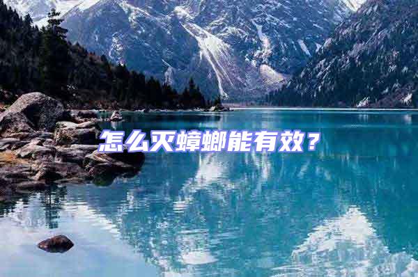 怎么滅蟑螂能有效?