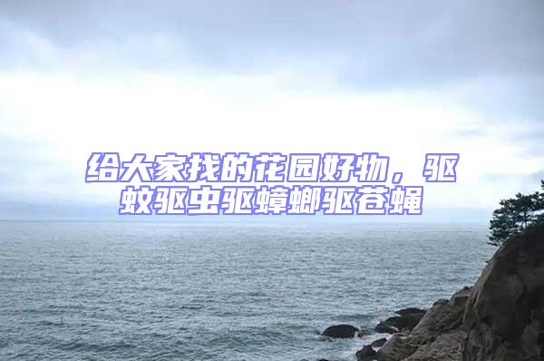 給大家找的花園好物,驅蚊驅蟲驅蟑螂驅蒼蠅