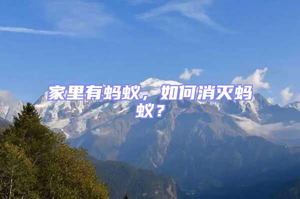 家里有螞蟻,如何消滅螞蟻?