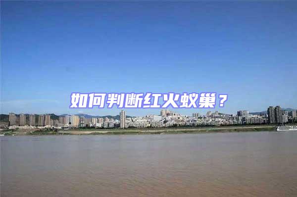 如何判斷紅火蟻巢?
