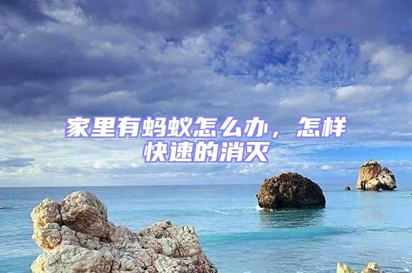 家里有螞蟻怎么辦,怎樣快速的消滅