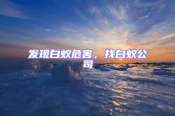 發(fā)現(xiàn)白蟻危害,找白蟻公司