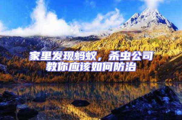 家里發現螞蟻,殺蟲公司教你應該如何防治