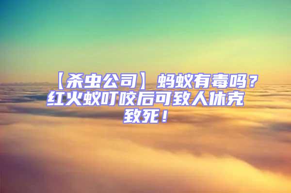 【殺蟲公司】螞蟻有毒嗎?紅火蟻叮咬后可致人休克致死!