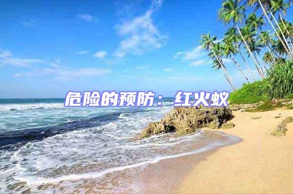 危險的預防:紅火蟻